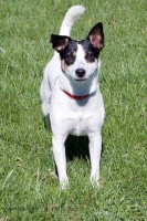 /album/senior-pictures/a-7240-jpg/